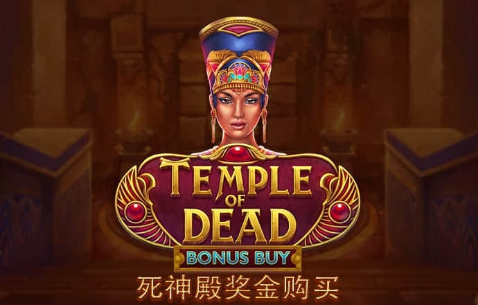 金贝体育官方网站登录